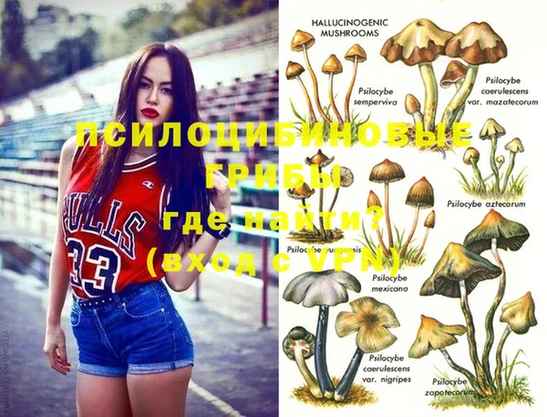 стаф Белоозёрский