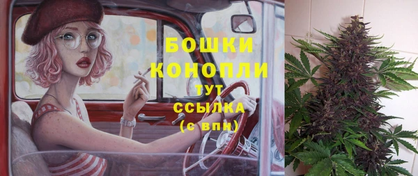 стаф Белоозёрский