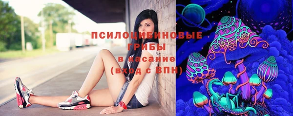 mix Белокуриха